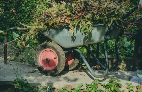 Garbage Removal Services Near Me