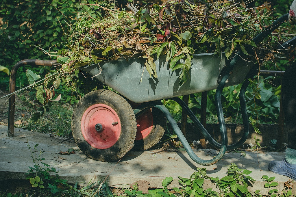 Garbage Removal Services Near Me
